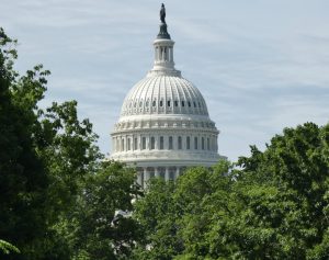 Washington DC Capitol Building where whistleblower statutes have been discussed, representing whistleblower protections and the CHOICE Act