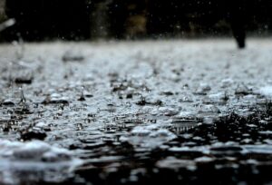 Whistleblower News 14 Close-up of Raindrops